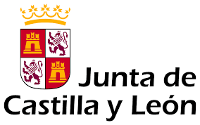 OPE Fisioterapia Castilla y León 2025